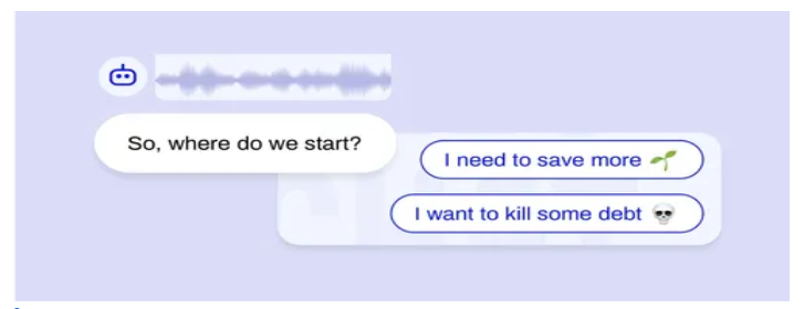 an image displaying a snippet of Voice AI support on financial advice
