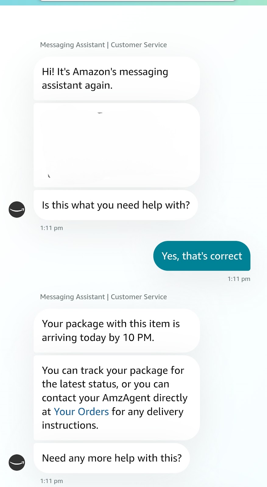 Amazon chatbot conversation with package tracking and delivery info