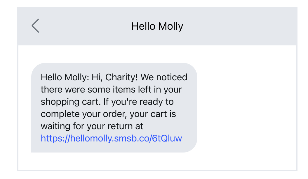 Cart reminder message from Hello Molly
